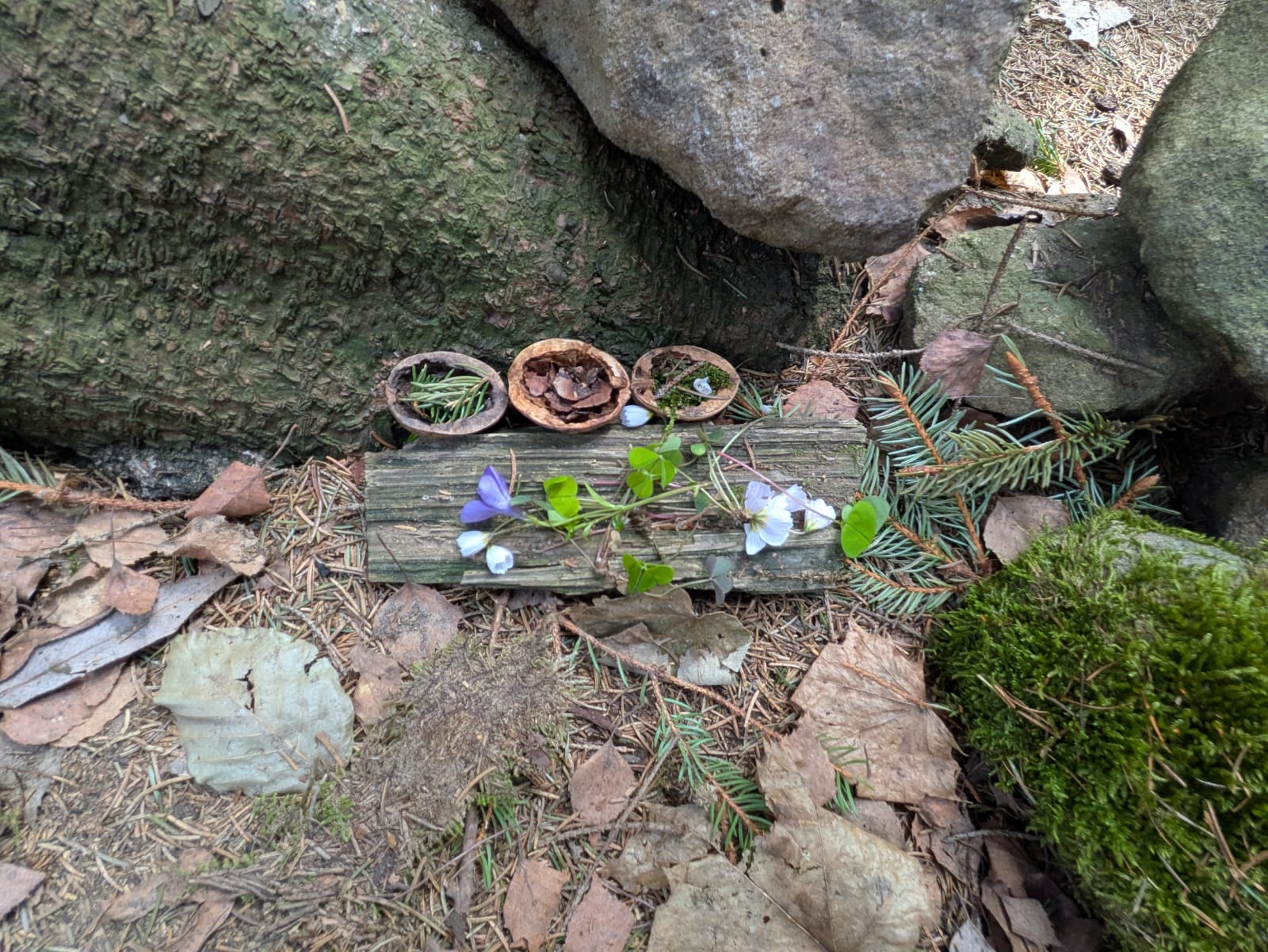 2.A a 4.B - ŠKOLA V PŘÍRODĚ MORÁVKA 5. den